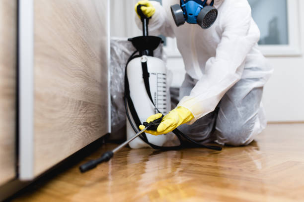 Best Bed Bug Extermination  in Linden, TX