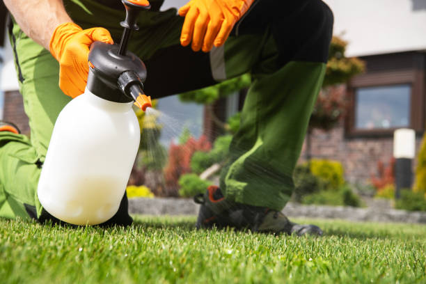 Best Best Pest Control Companies  in Linden, TX