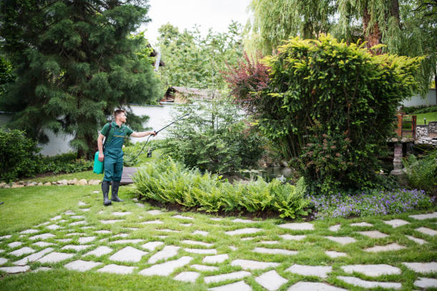 Best Mosquito Control Services  in Linden, TX