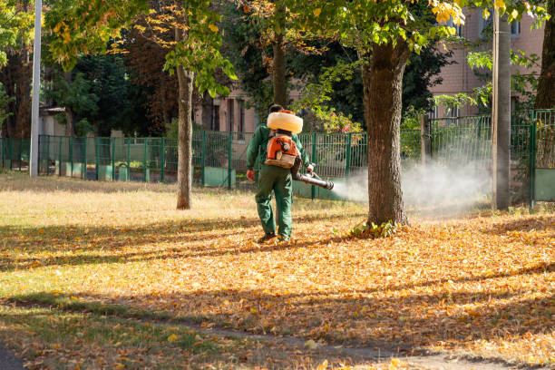 Best Pest Control Near Me  in Linden, TX