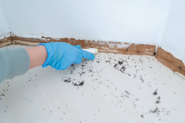 Best Emergency Pest Control  in Linden, TX